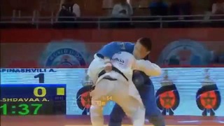 Georgian Way of Judo