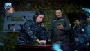Дорогие женщины! Примите искренние поздравления с Международным Женским Днём — 8 марта