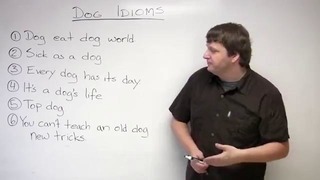 6 Dog Idioms in English