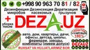 Дезинсекция, Дезинфекция, Дератизация в Ташкенте