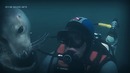 В Северном море тюлень поймал дайвера в ловушку