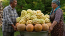 Saving Summer for Winter | Melon Jam, Fruit Leather & Cake