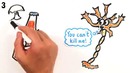 AsapSCIENCE – 7 Мифов о мозге