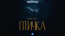 HammAli & Navai – Птичка (Премьера клипа)