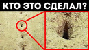 На дне океана обнаружены загадочные впадины