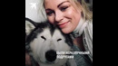 Хаски – Трогательная история