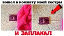 8 неожиданных поворотов событий, которых никто не ожидал