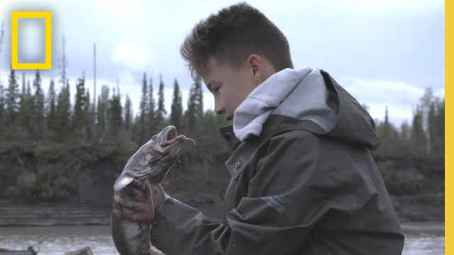 Fishing in the Yukon River | Life Below Zero