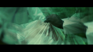 Black Coast – Mental (Official Music Video)