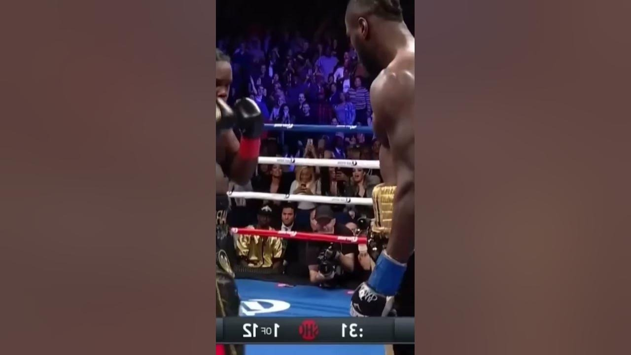 Уайлдер тогда выдал мощный бой #бокс #boxing #top #актуально - Mover.uz