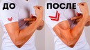 6 простых упражнений, чтобы накачать мышцы рук в кратчайшие сроки