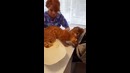 Спасает братюню от проблем ))