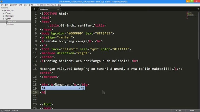 HTML va CSS videokurslari. HTML 5-dars: Maxsus teglar 3-qism