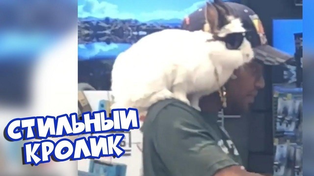 (BugagaTV) Приколы и Фейлы 2018 Июль (Part 1)