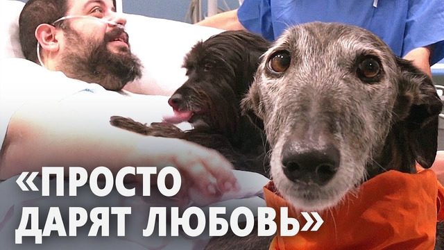 Собаки-терапевты помогают пациентам больницы в Барселоне найти желание жить