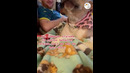 Dogs born to be comedians