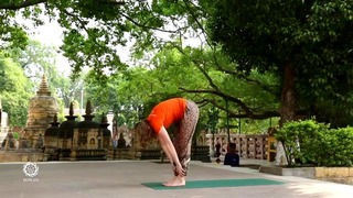 Комплекс хатха-йоги у дерева Бодхи. Алена Чернышова