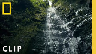 Albert Lin climbs up a treacherous waterfall in search of ancient tombs