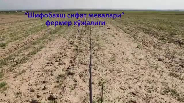 Томчи канали мухбирининг хабарлари билан сизларни таништириб бормоқдамиз