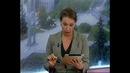 Мистер вселенная Александр Невский(курицын)