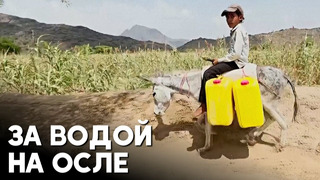10-летний йеменец Али каждый день возит домой тяжёлые бутыли с водой