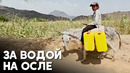 10-летний йеменец Али каждый день возит домой тяжёлые бутыли с водой