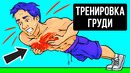 7-минутная домашняя тренировка груди, которая позволит развить мускулатуру
