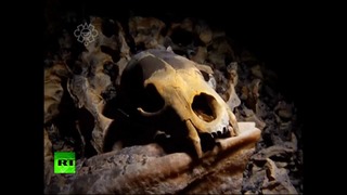 Скелет, получивший имя Найа 12.000 лет