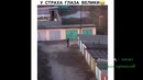 24 минуты смеха до слёз 2019 лучшие русские приколы ржака угар приколюха #21