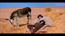 Итальянский юмор и неожиданная развязка