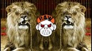 Digital Punk And Adaro – Circus Of Insanity