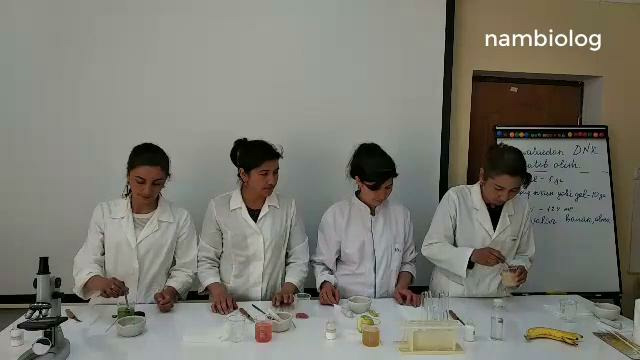 Turli mevalar hujayrasidan DNK ni ajratib olish