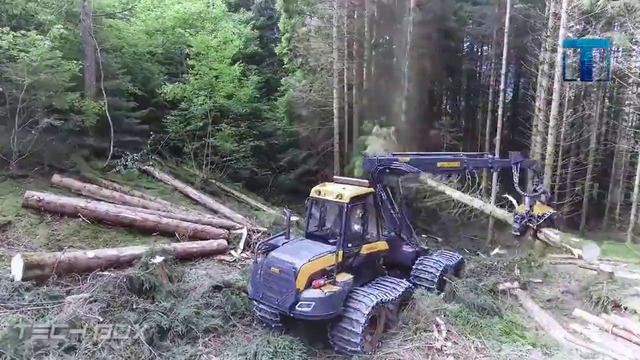 Невероятные машины и техника для обработки древесины