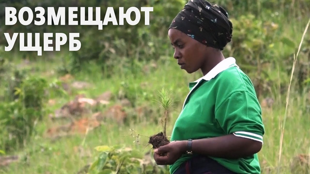 В Уганде беженцы уже 6 лет сажают деревья
