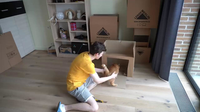 Я построил ГИГАНТСКИЙ картонный домик для кота:]
