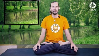 Что нужно знать о йоге- Денис Малинов