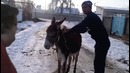 На Эшаке
