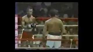 Muhammad Ali vs. Michael Dokes exhibition