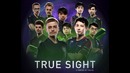 [Русская озвучка] True Sight – The International 2018 Finals