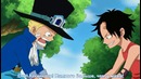 САБО=ЙОНКО? Истинная СИЛА, роль, личность | One piece теория