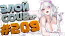 Злой best coub forever #209
