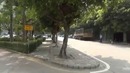 Китай Рулит в Китае 9. Метро, покупки в супермаркете