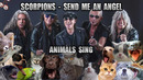 Scorpions – Send Me An Angel (Animal Cover)