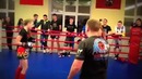 Бой девочек открытого ринга – тайский бокс клуб барс