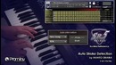 Prominy SR5 Rock Bass demo – Auto Stroke Detection