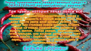 Три травы, которые лечат почти всё