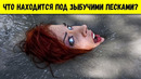 9 любопытных фактов, которые вам лень гуглить