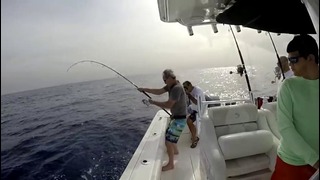 Amazing Bluefin Tuna Fishing in Lebanon