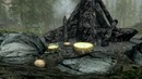 Inda game – Skyrim – Секреты и интересные моменты игры