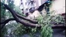 Ураган добрался до Урала